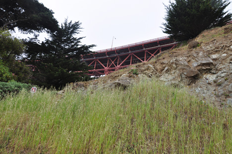 photos from below the bridge